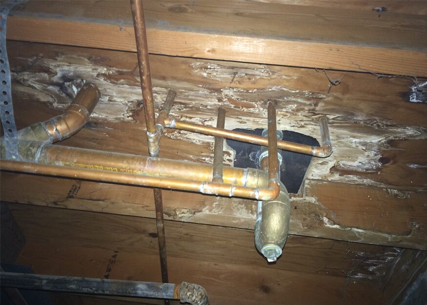 crawl space plumbing issues found during a home inspection